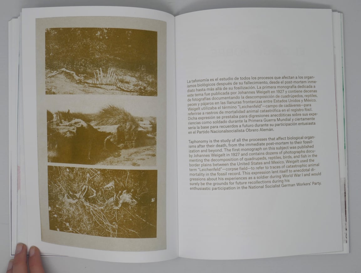 Ghost Pavillion thumbnail 4