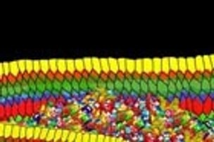 Untitled [Monster and Jewels]