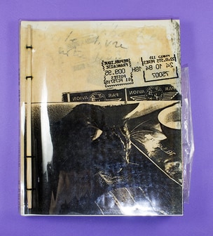 Sebastien Live Cat Chat Vive