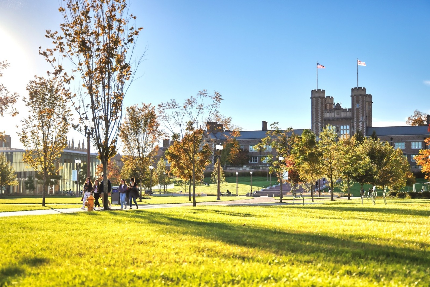 tree and grass on Washington University campus with Brookings, a large brick building, in the background