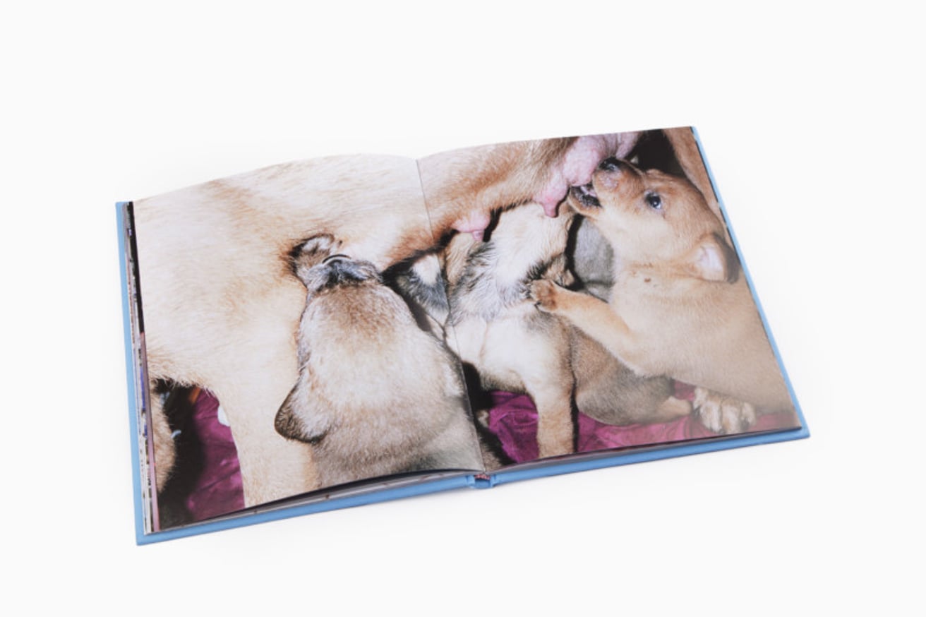 Down, Down, Baby thumbnail 7