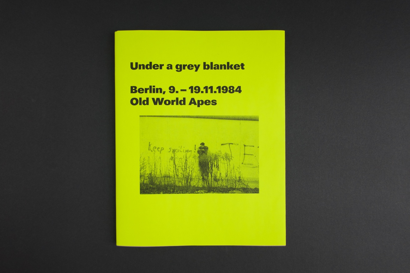 Under a grey blanket-Berlin, 9.–19.11.1984, Old World Apes