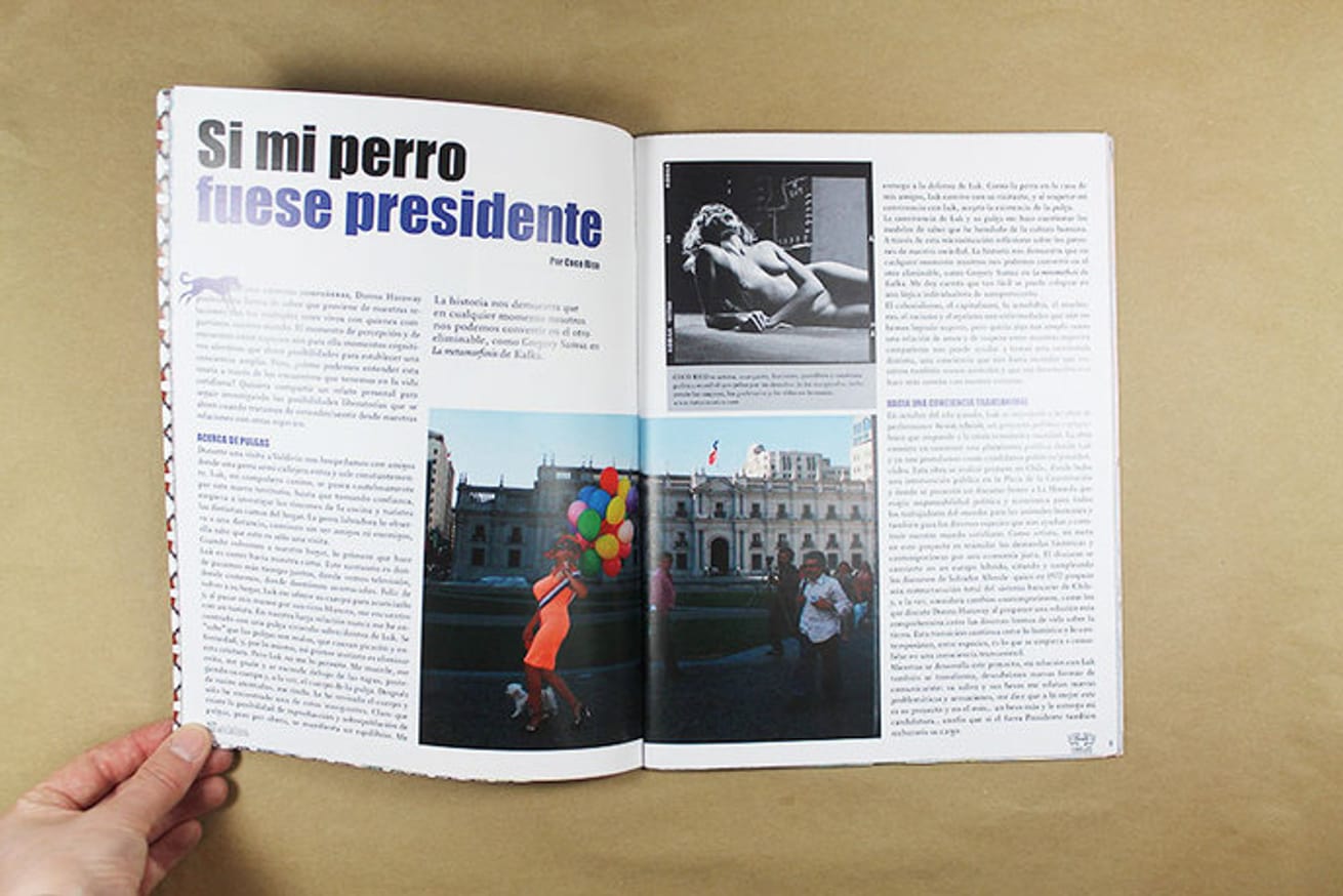 Coco Rico! thumbnail 4