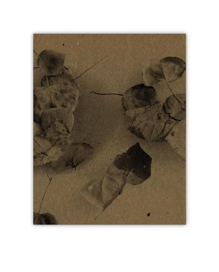 In Many Valleys, the Sun Was the Eye of God