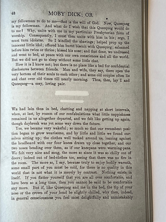 Moby Dick* *redacted to queer thumbnail 4