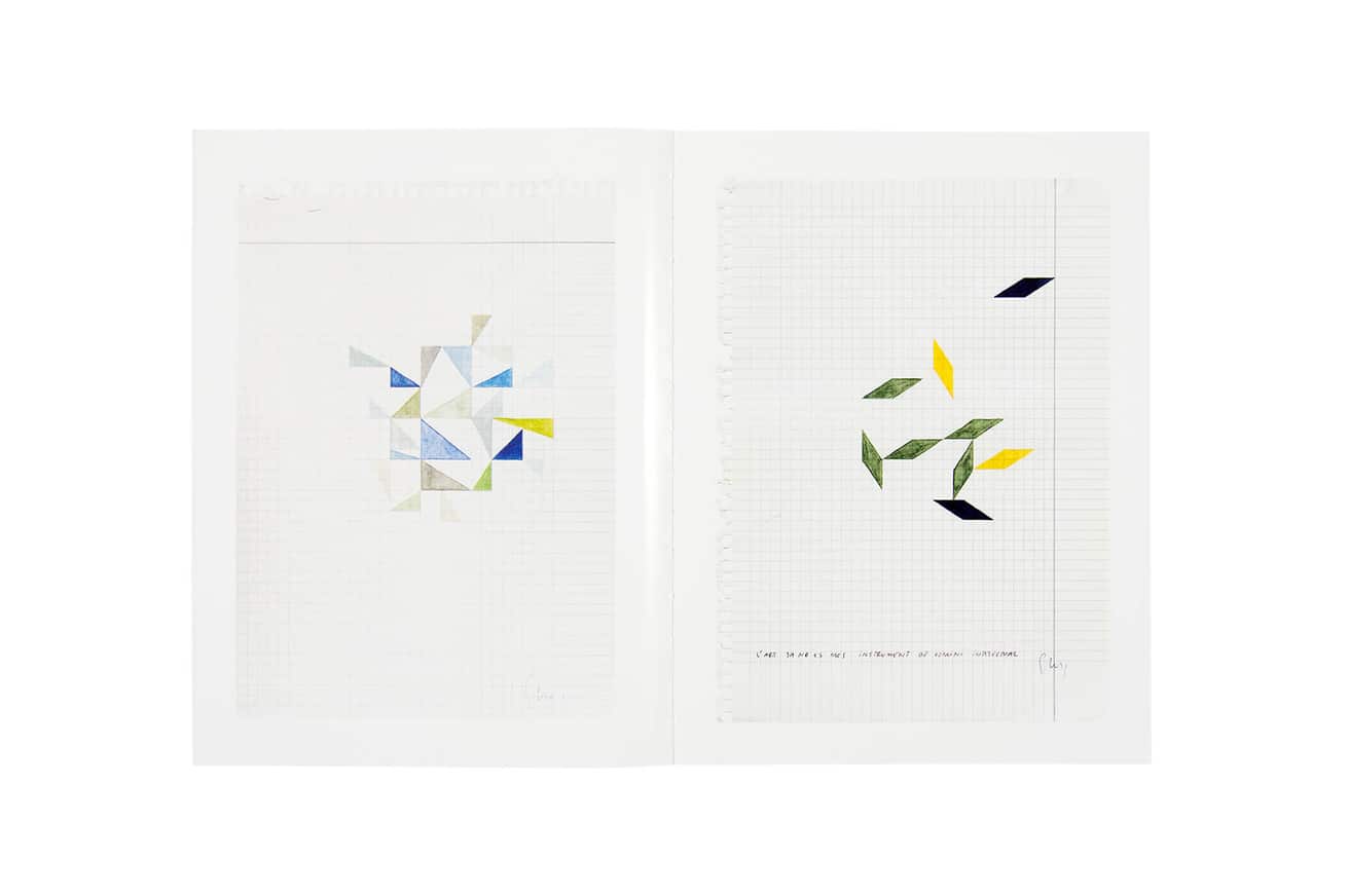 Daniel Steegmann Magrané : Animal That Doesn't Exist thumbnail 2