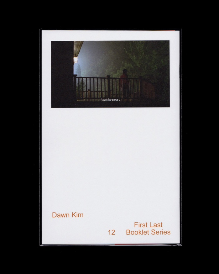 First Last Booklet Series #3, Eleven Sounds and a Fire (Second Edition) thumbnail 6