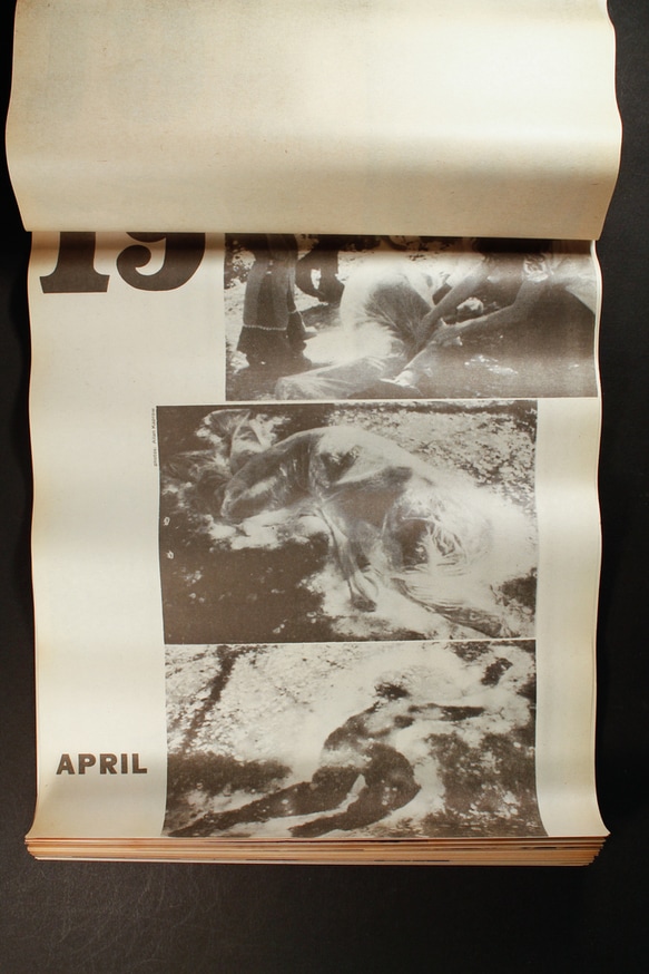 Herd Instinct 360° [DVD]