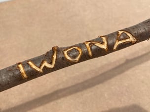 Art World Celebrity Sticks (Iwona Blazwick)