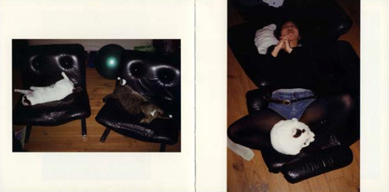 Nekopathy thumbnail 5