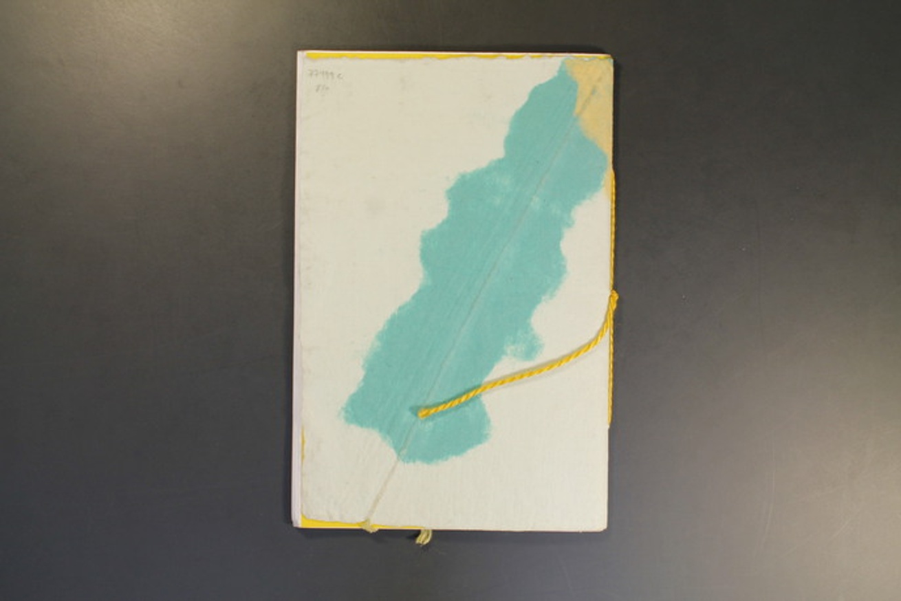 A Biomass Continuity : Coco Go Interactiv' with John Grande's Balance : Art & Nature thumbnail 2