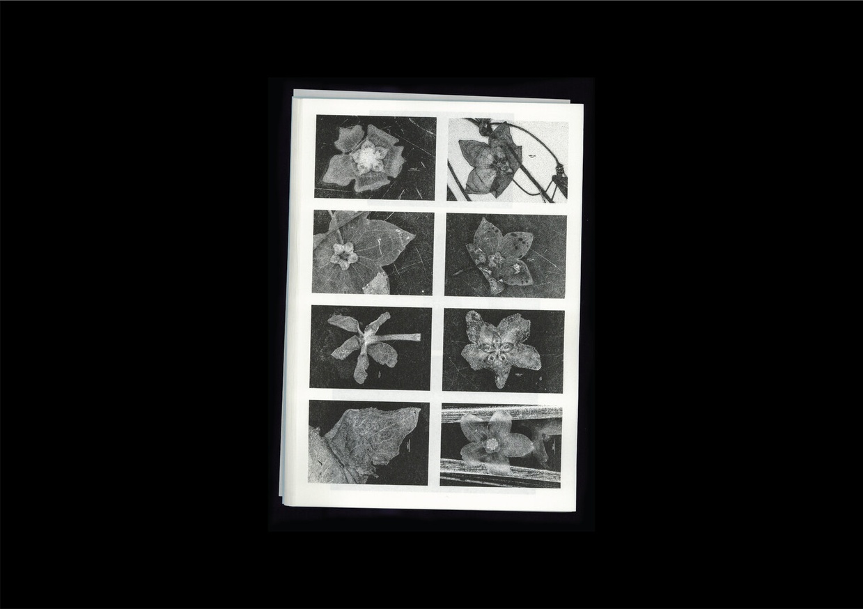 Microscopic Images thumbnail 3