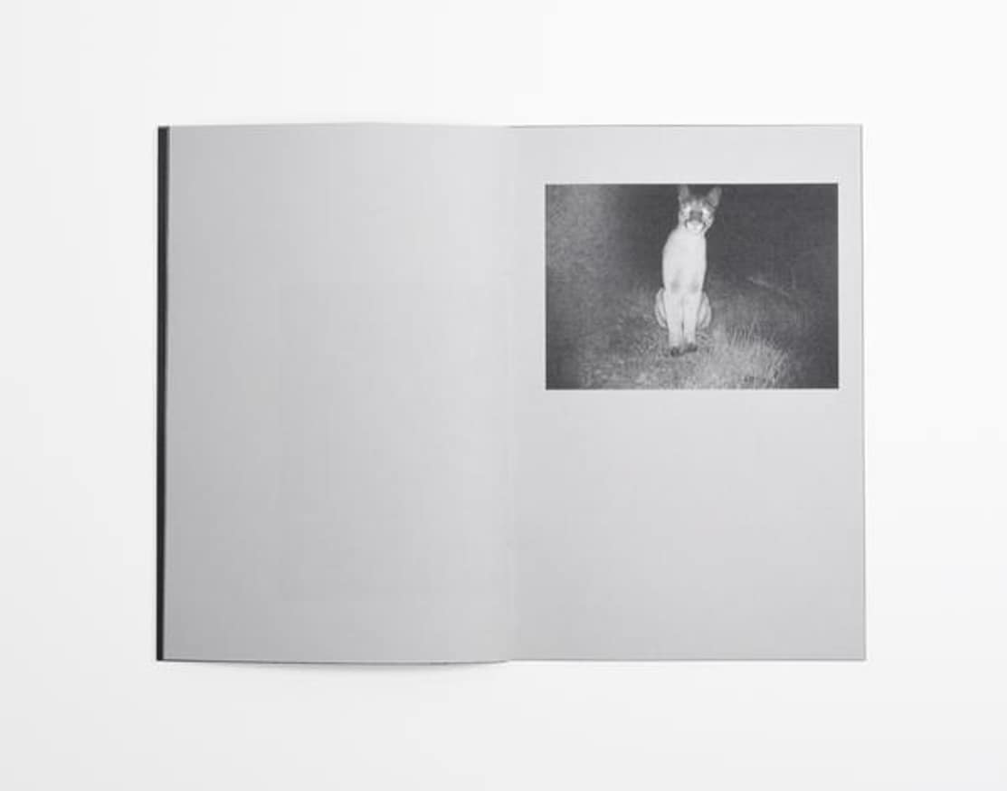 Night Moves thumbnail 2