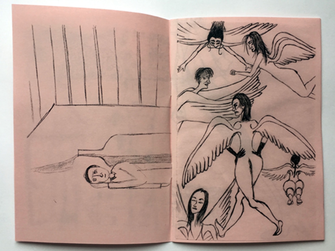 Turtle Fur thumbnail 2