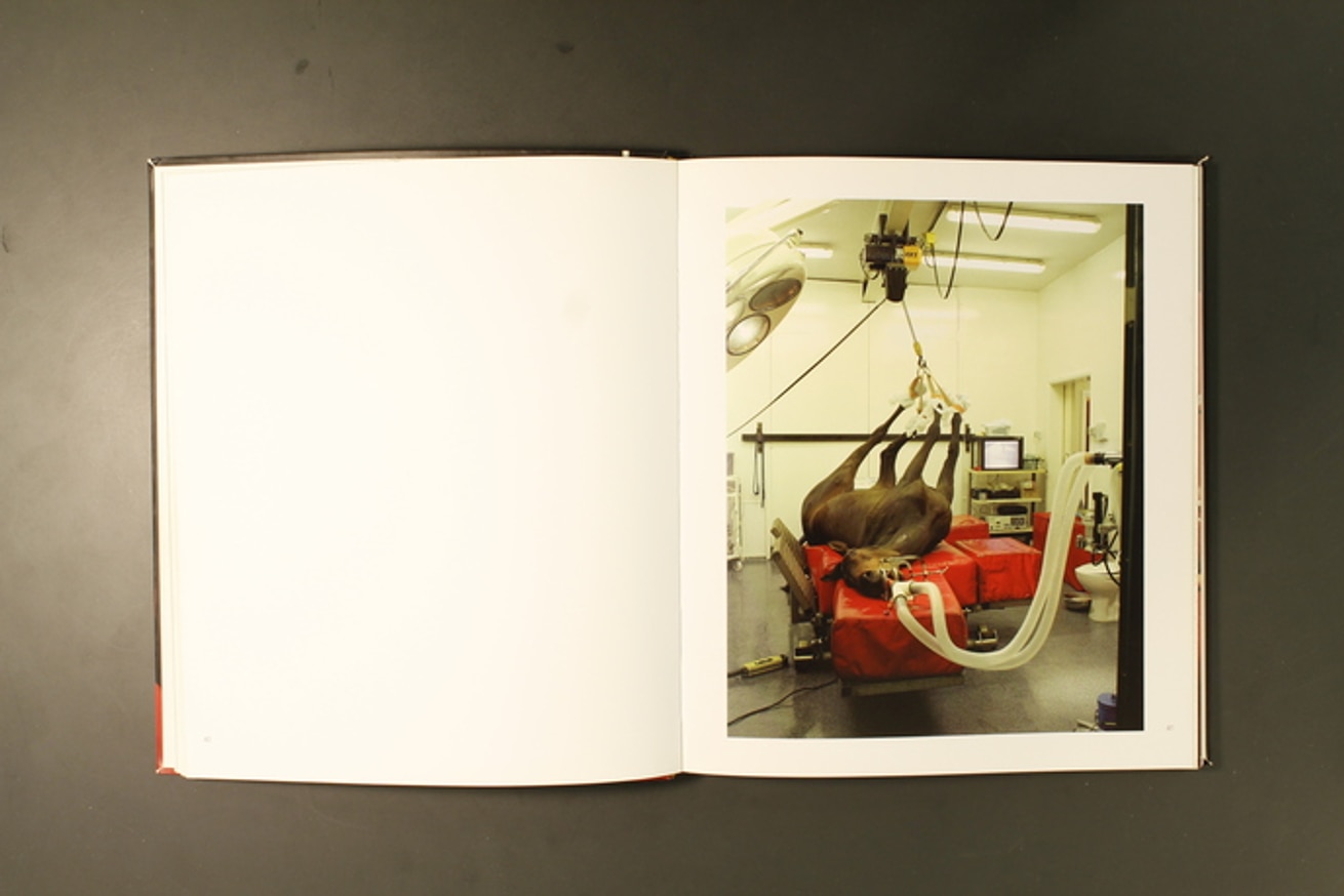 A Joyful Confusion thumbnail 6