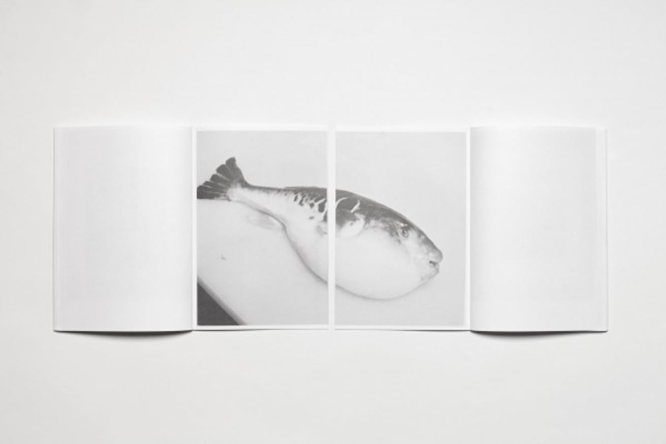 Max Pinckers & Daisuke Yokota thumbnail 3