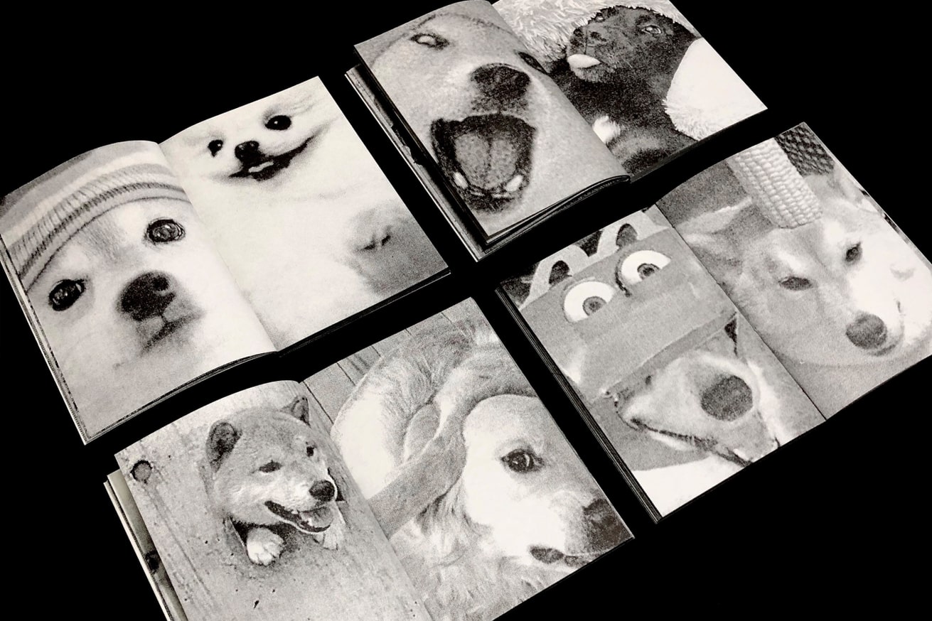 Perros Primos thumbnail 5