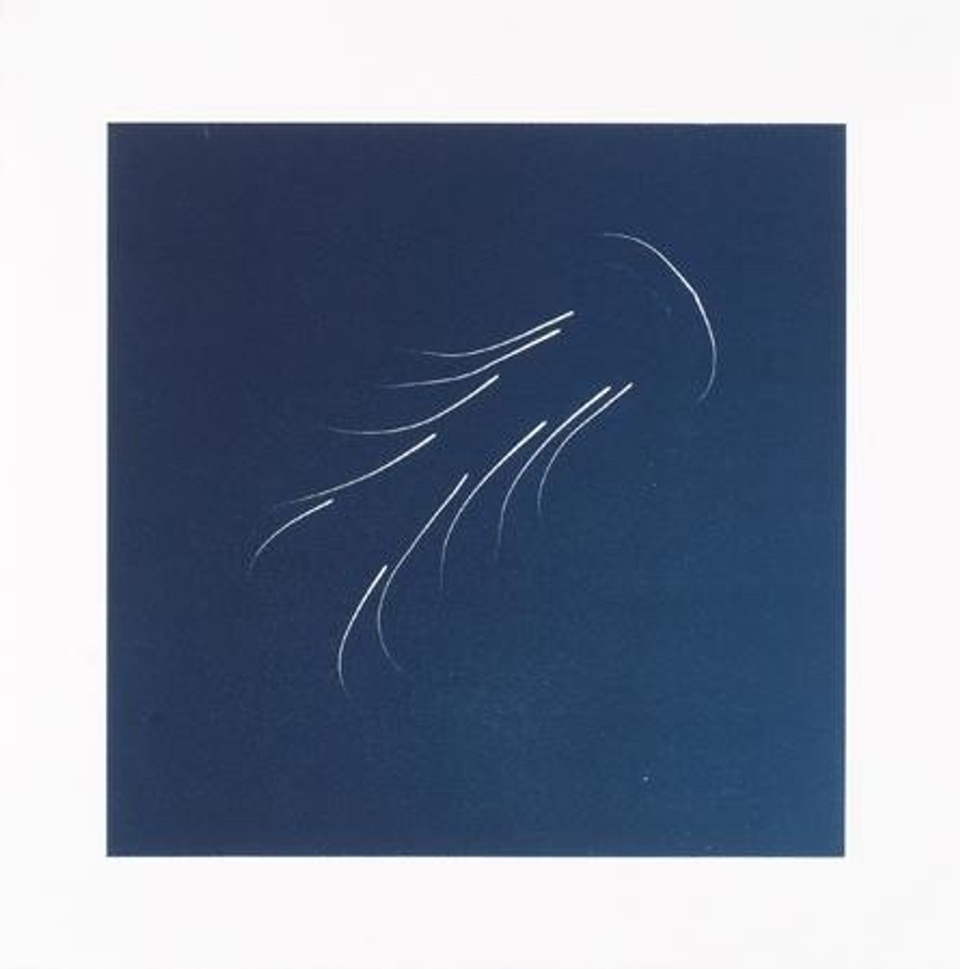 Image of abstract white line drawing on dark blue printed background