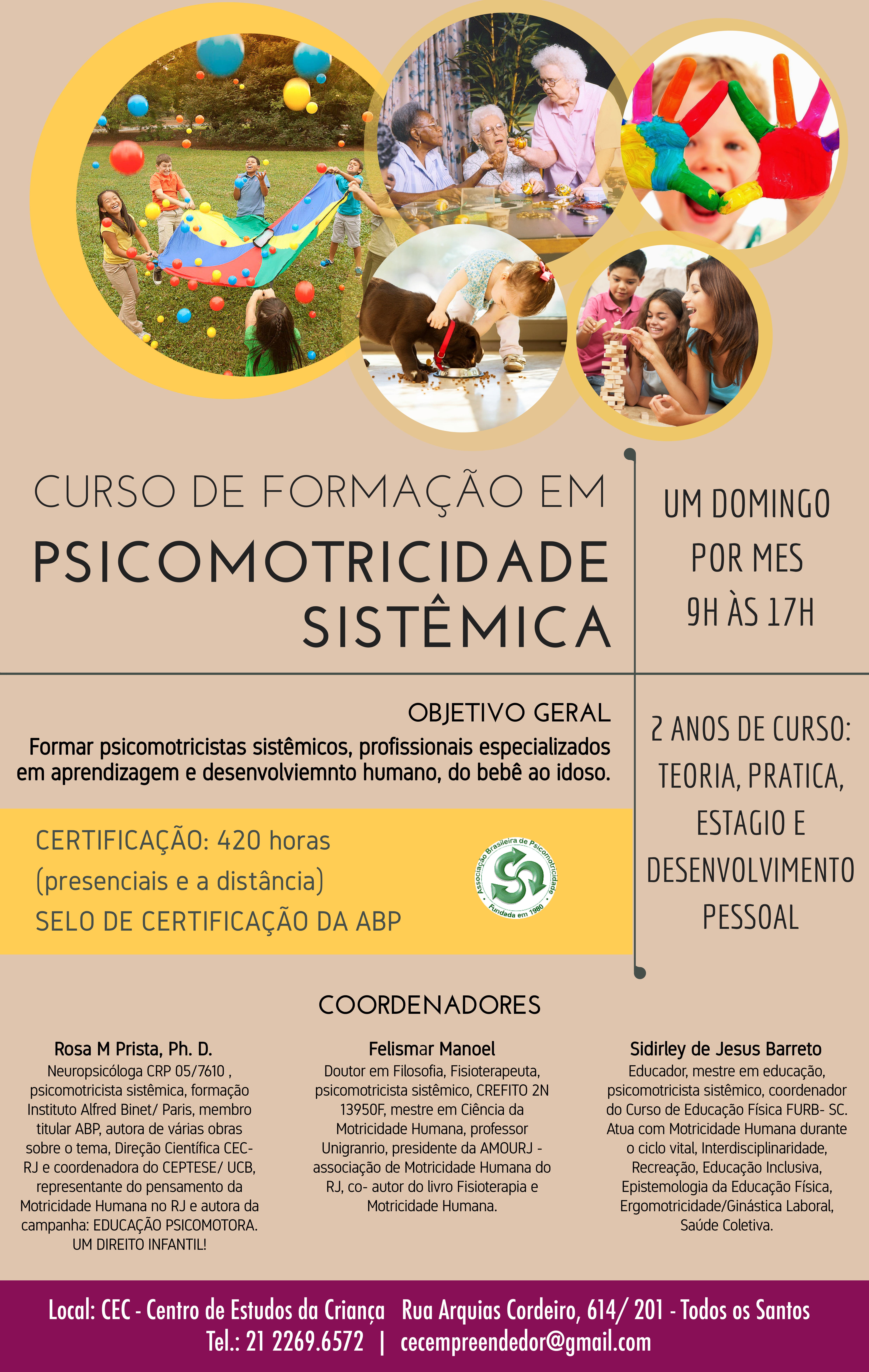 PSICOMOTRICIDADE SISTEMICA