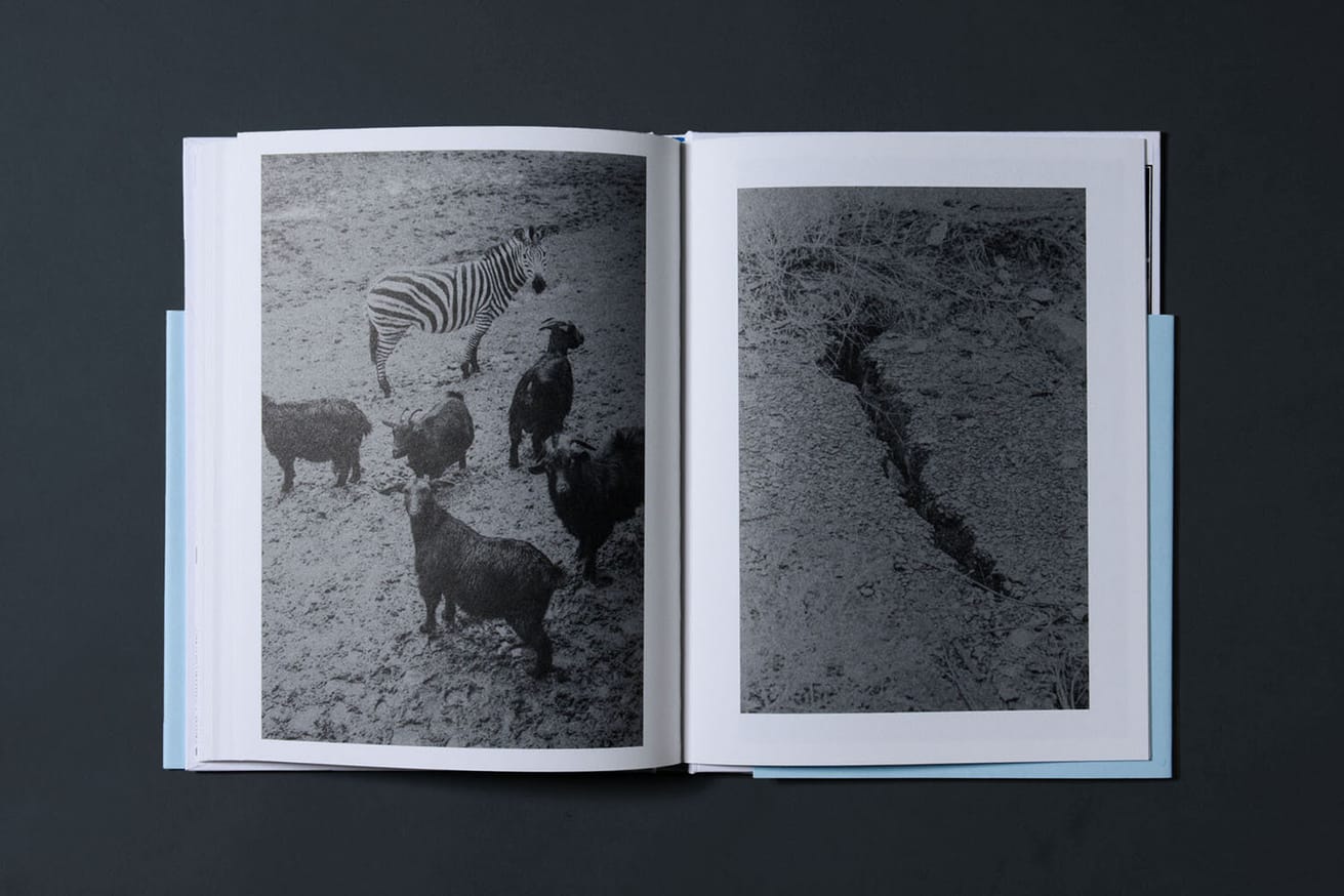 The Flood thumbnail 5