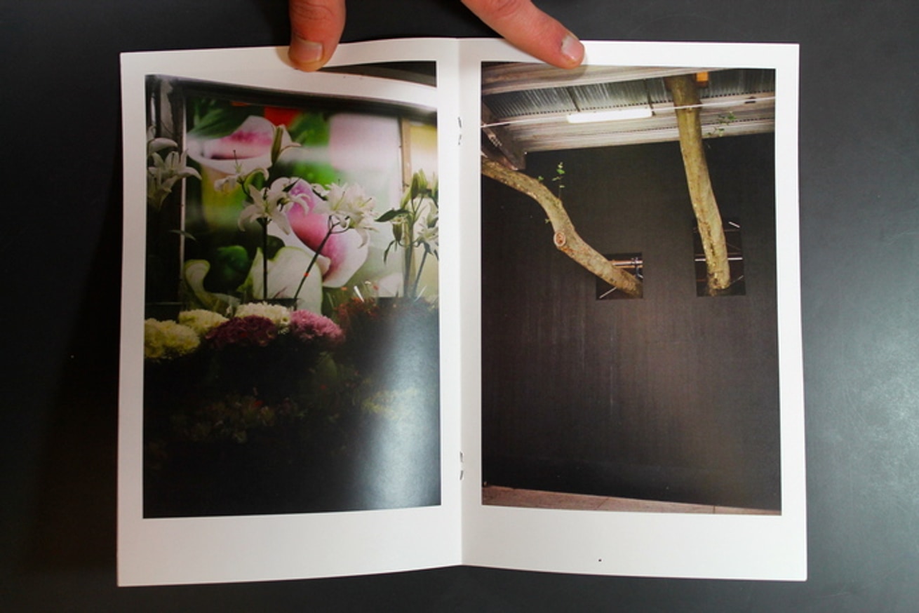 There Seen from Here