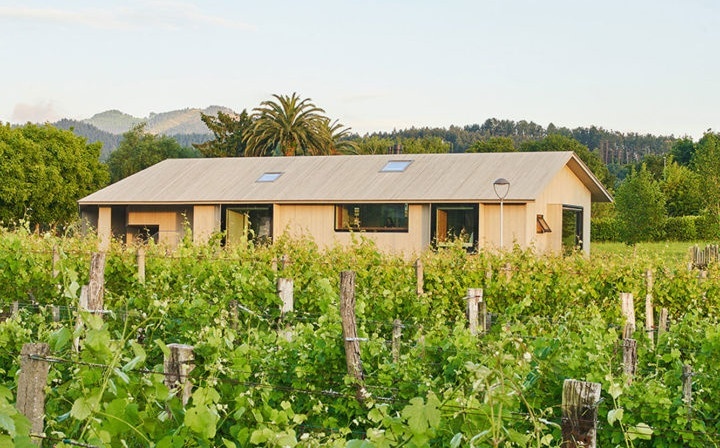 A single-story house sits in a valley of grapvines with mountains and palm trees in the distance.