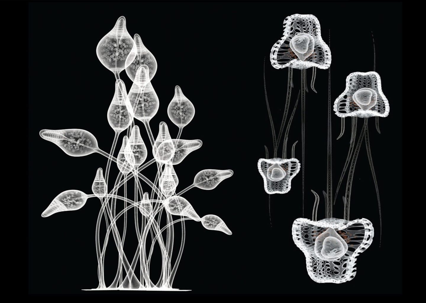 White drawing of plants' cellular structures on a white background.