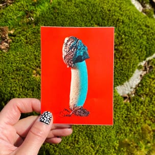 Stinkhorn Sticker