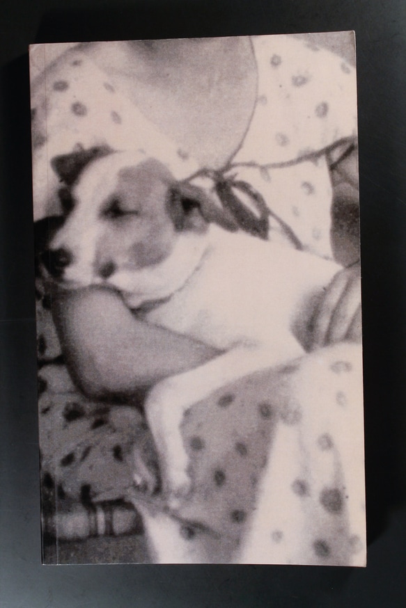 Instructions Aux Domestiques thumbnail 3