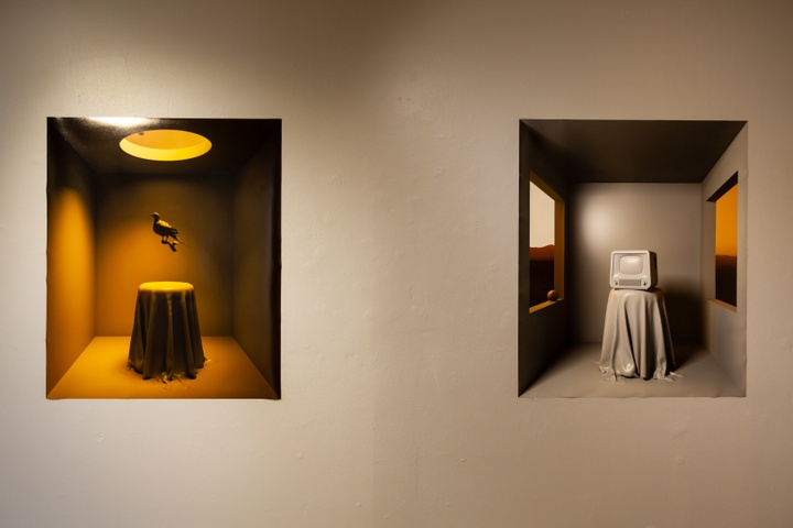 Two prints of 3d renders on a wall. The first print depicts an orange room with bird floating in the middle above a table. The second print depicts a television sitting on top a table with two windows on either side of the room