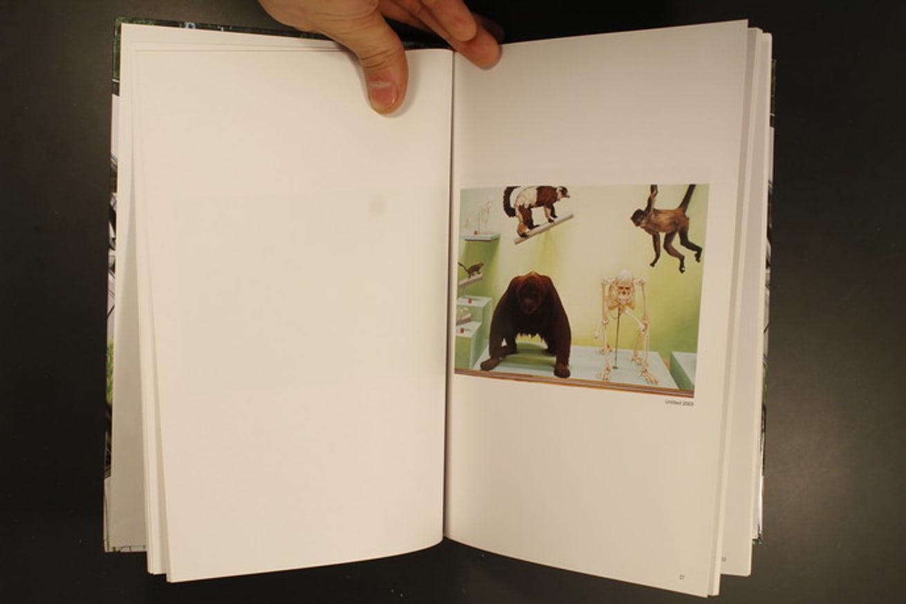 Yoko Kawamoto thumbnail 4