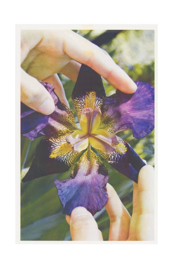 reborn today, after a long repose in oblivion