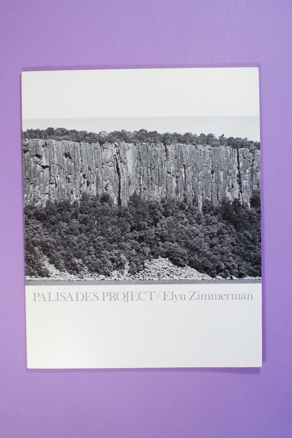 Palisades Project thumbnail 2