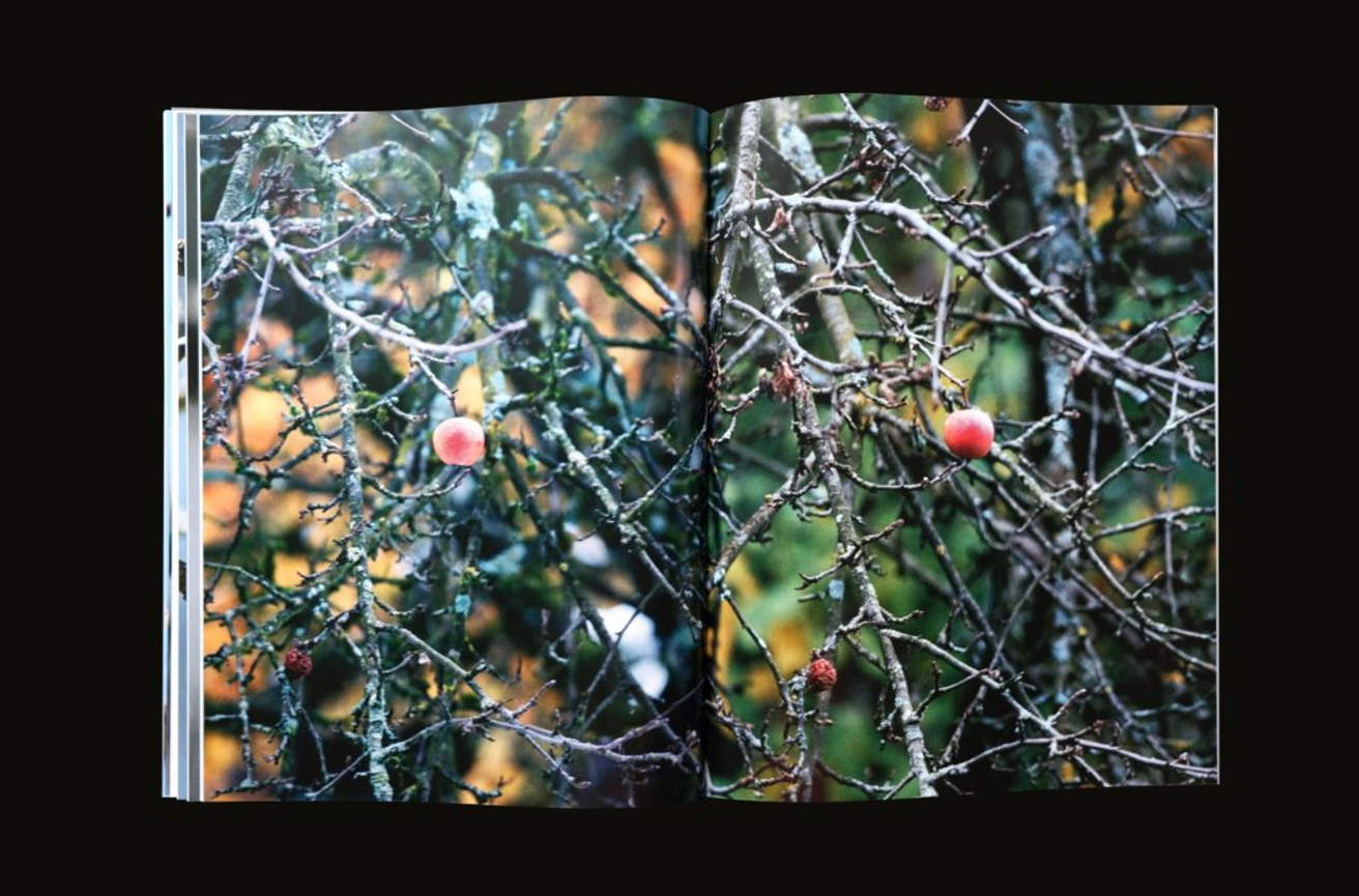 Only Apples thumbnail 2