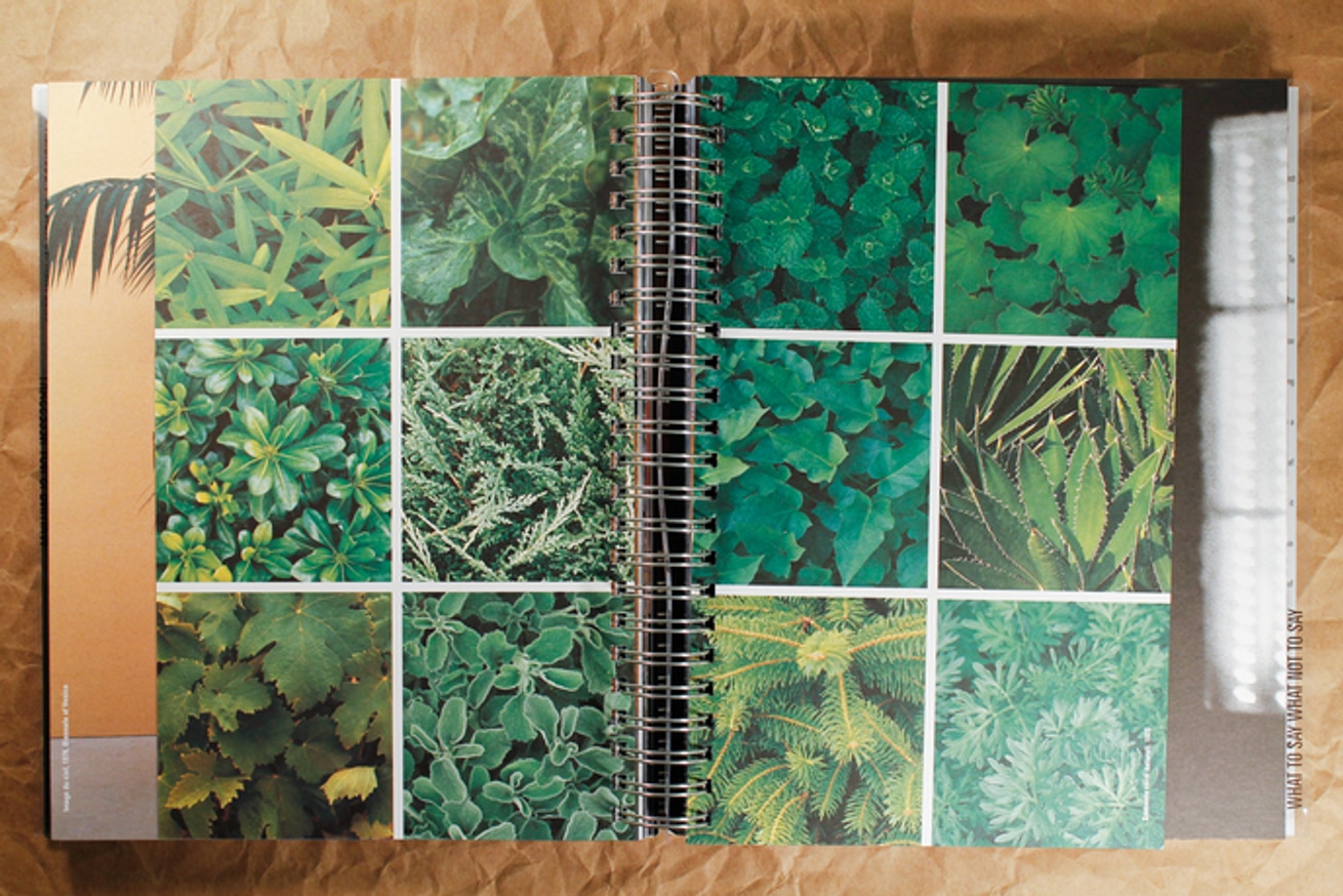 Where to Start From... thumbnail 3