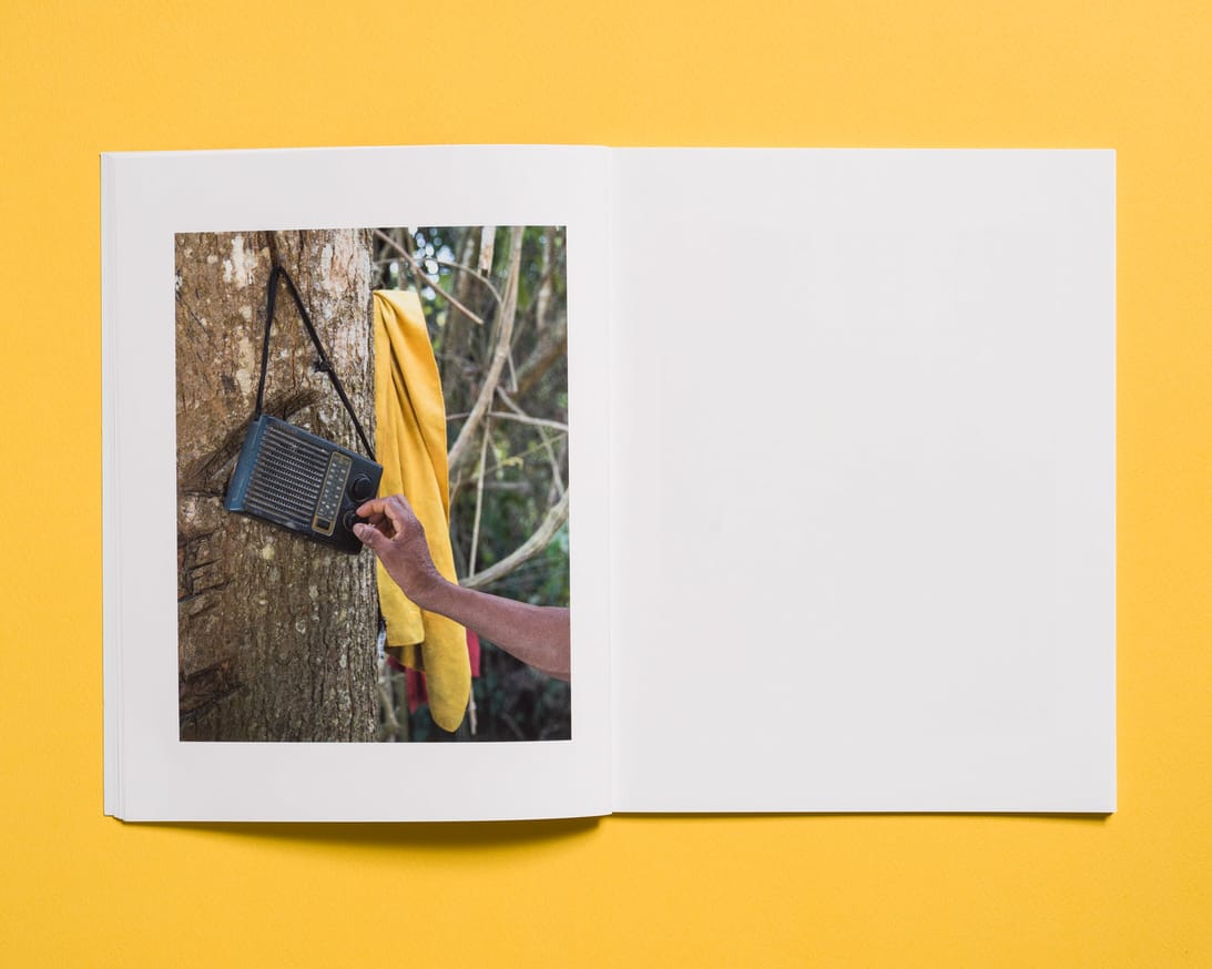 LOST, Viterbo thumbnail 6