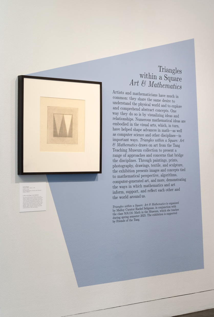 On a white wall is a framed artwork hanging partially atop a light blue, asymmetrical painted section of wall that contains the exhibition title above a paragraph of text.