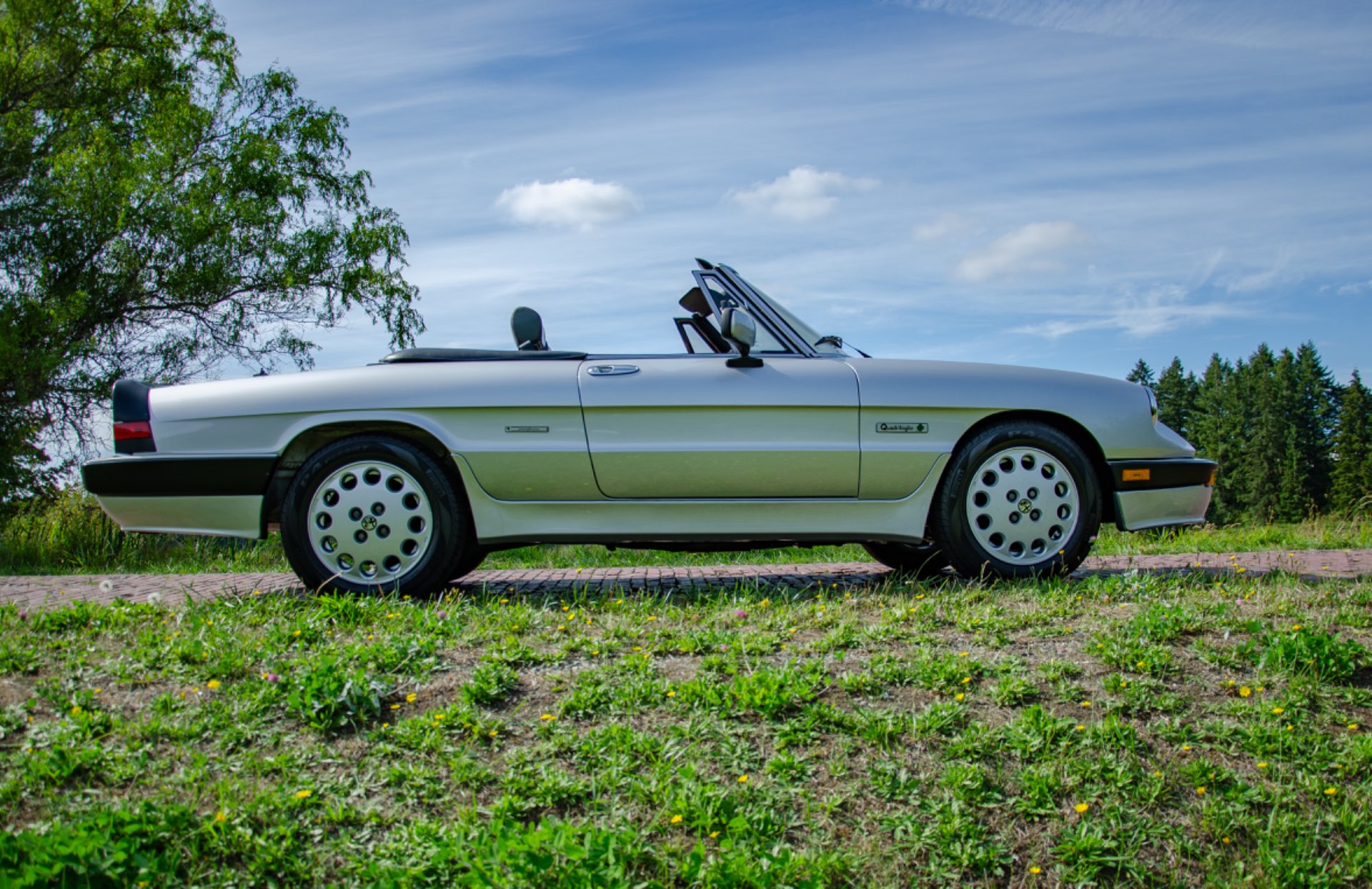 1990 Alfa Romeo Spider - Photo 11