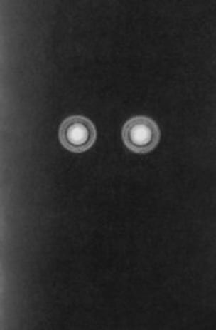 A Companion to Federico Clavarino's 'The Castle'