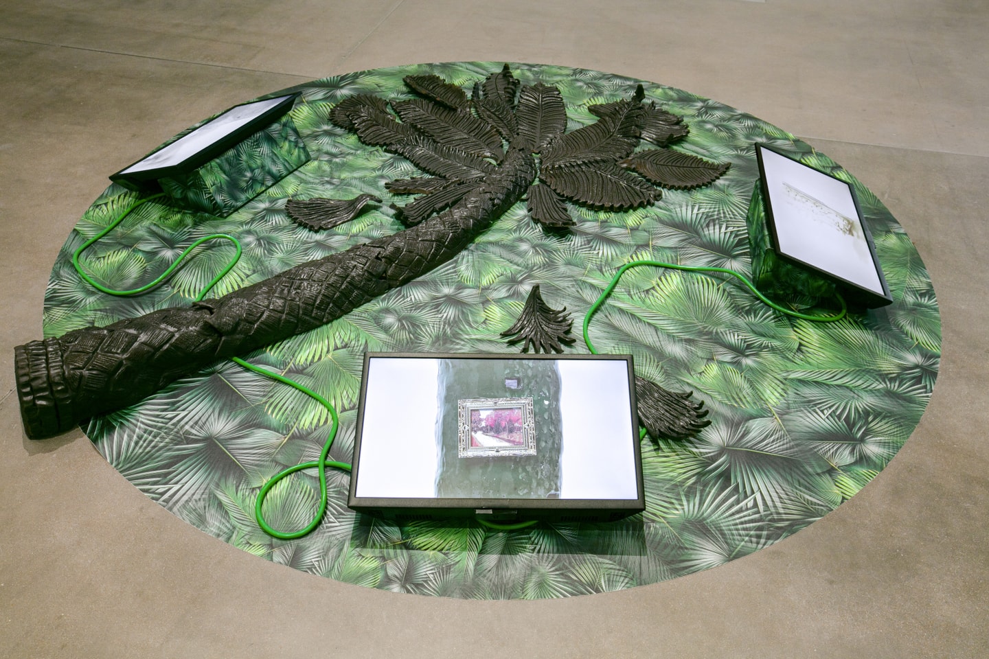installation view of "I know more words in Spanish than I do in English," at WashU Kemper Art Museum