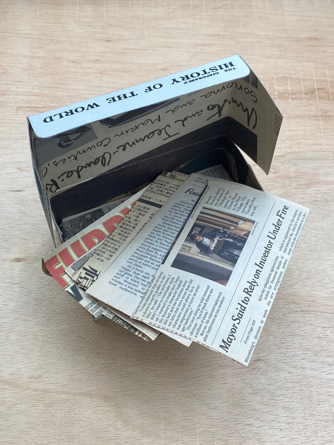 Louise Odes Neaderland The Disposable History Of The World Printed