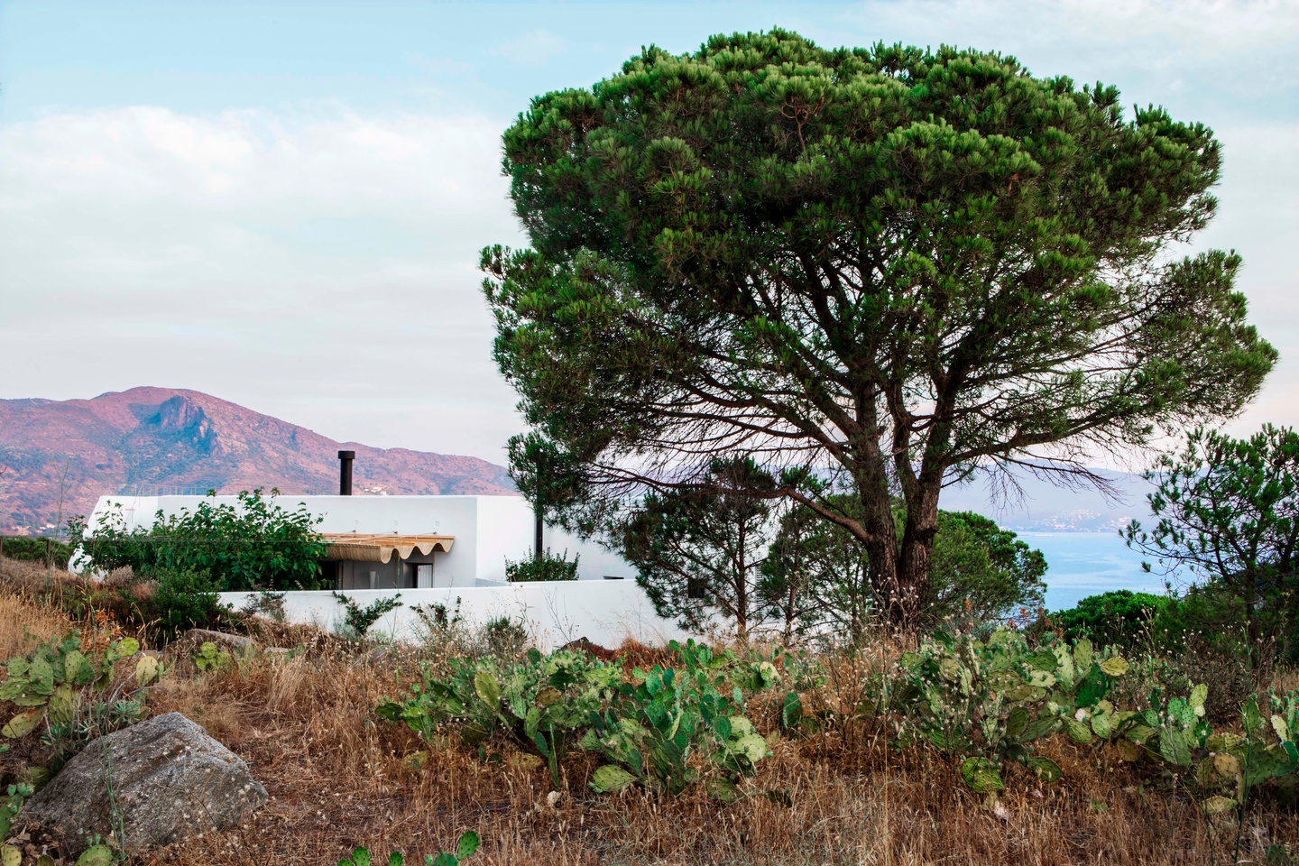 House nestled in between greenery by a hillside. A large tree towers over the house