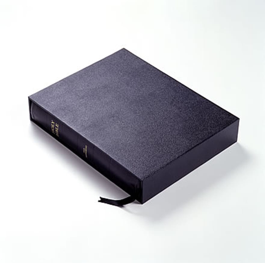 The Holy Bible : Old Testament thumbnail 3