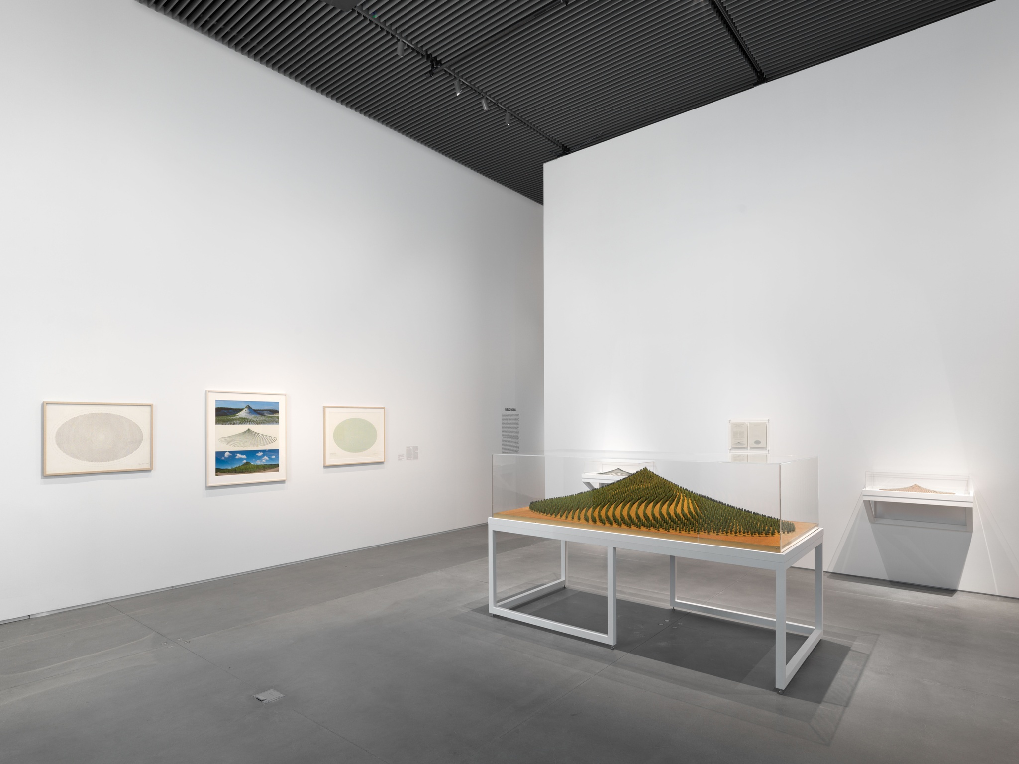 An installation view of Agnes Denes' work for Absolutes and Intermediates