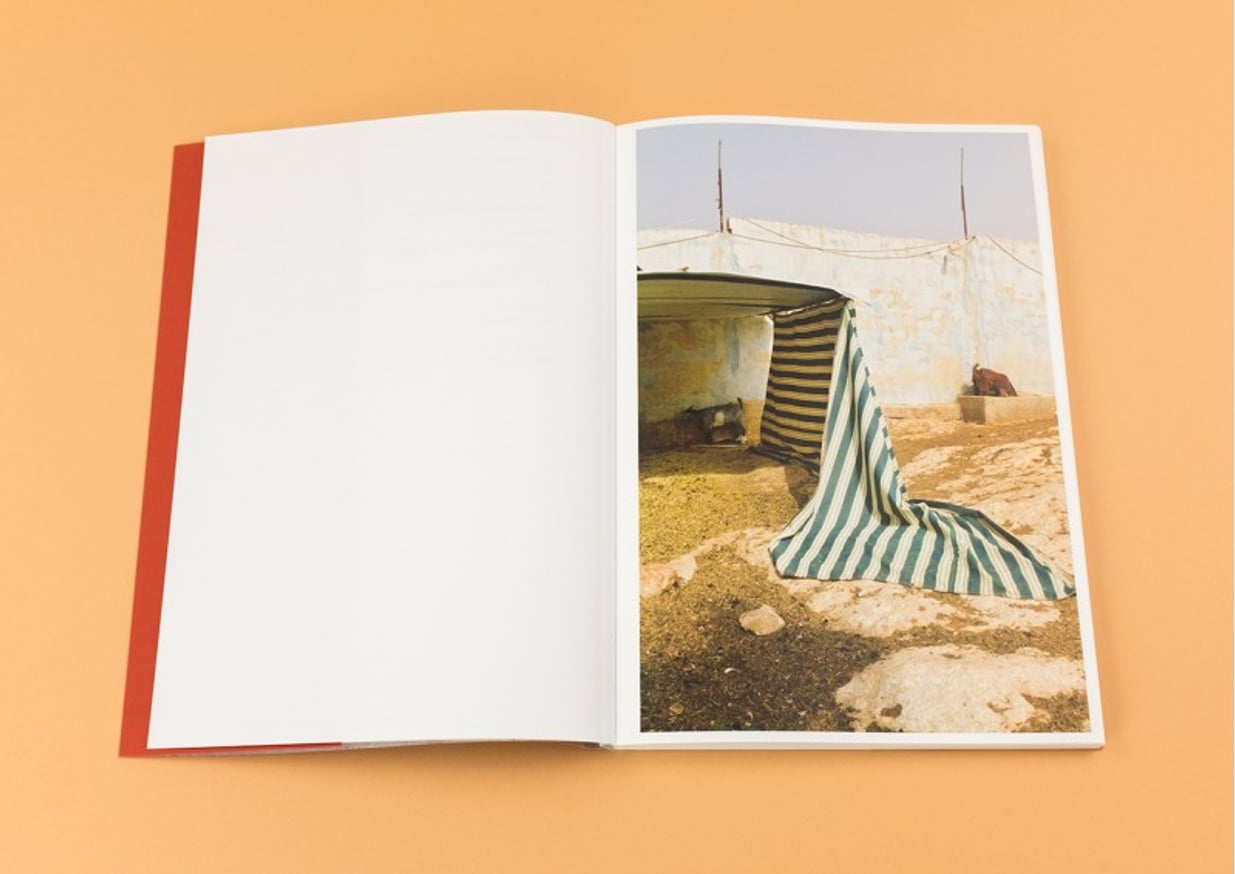 Tender Mint thumbnail 4