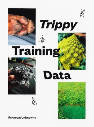 Trippy Training Data