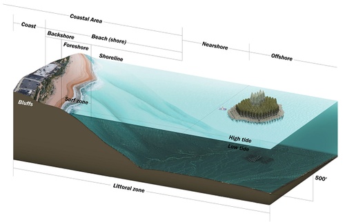 ARCH_Benjamin_WILLIAMCANDERSON_SP2020_Near-Coastal-Forestry,-Littoral-Zone_2.jpg