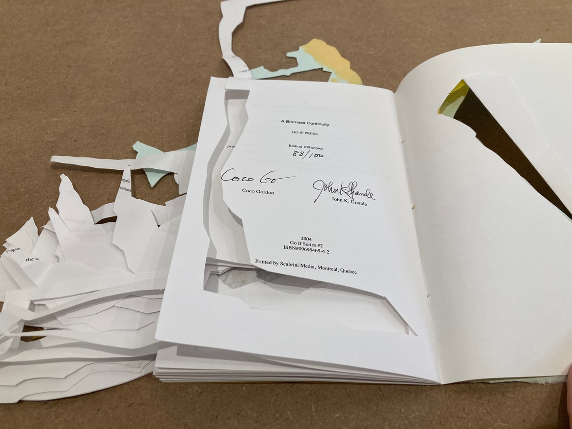 Cut Book (A Biomass Continuity : Coco Go Interactiv' with John Grande's Balance : Art & Nature) thumbnail 3