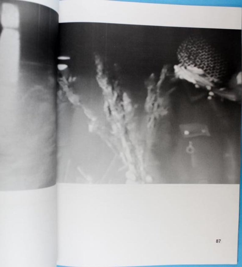 Pastelegram thumbnail 3