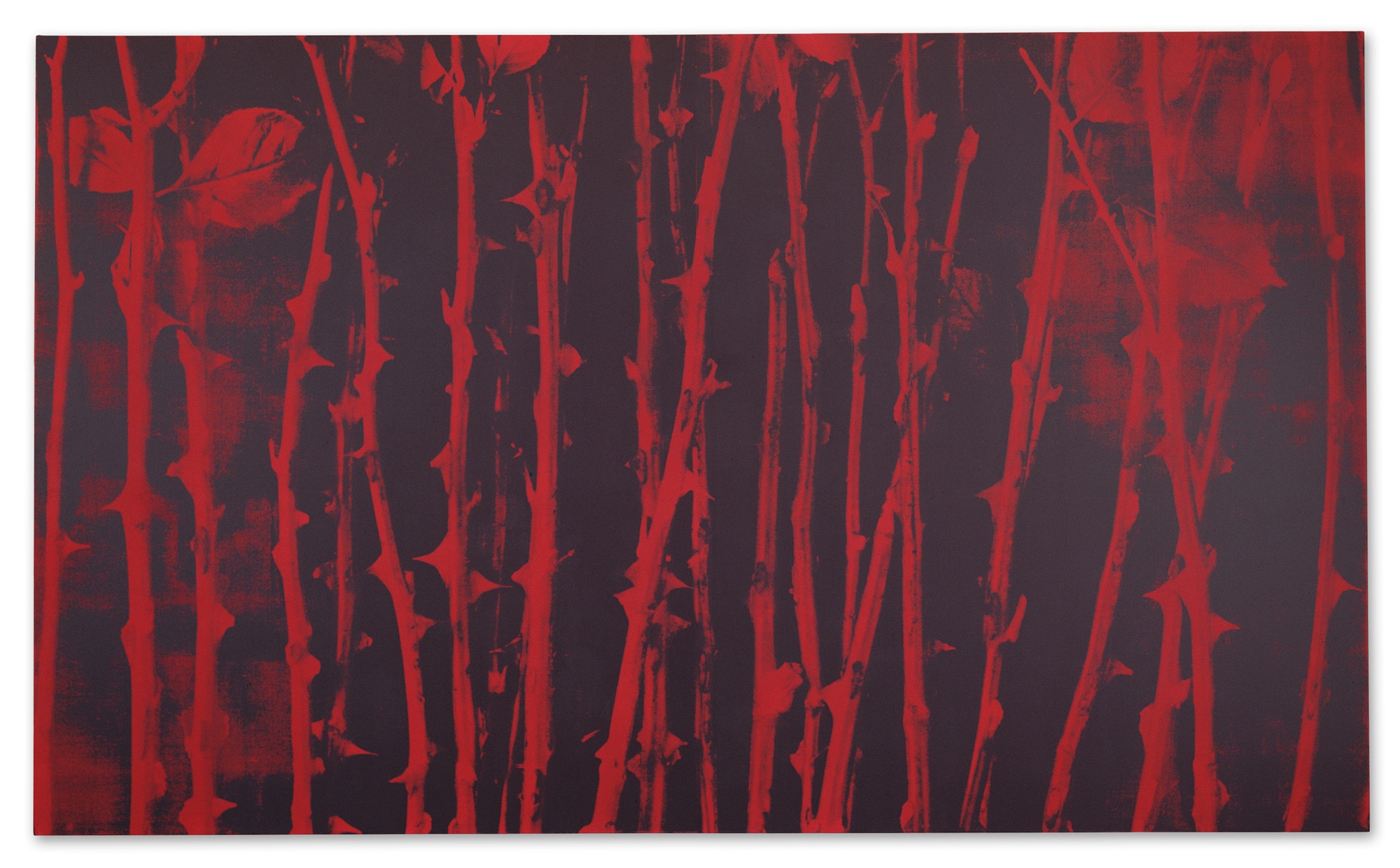 a black and red silkscreen of thorned stems by Mary Weatherford